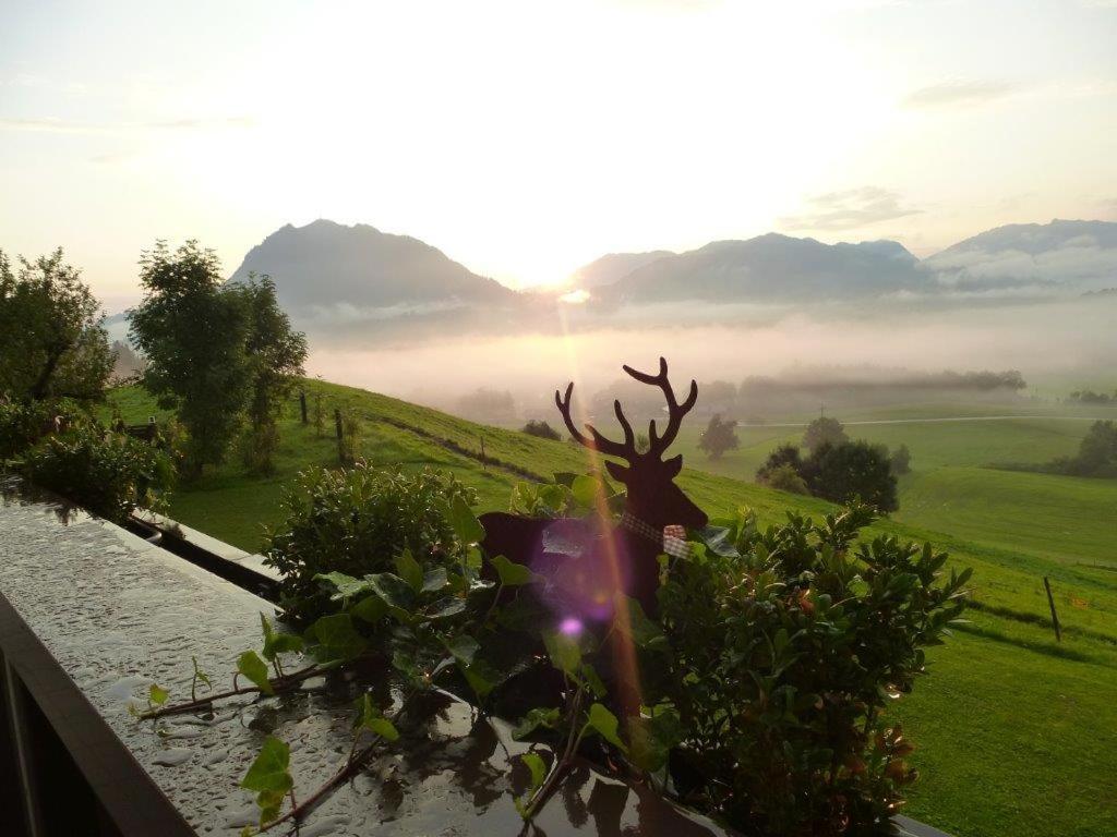 Alpenlodge Allgaeu 5* Ofterschwang Eksteriør billede